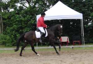 Galop 01 - fremmedrytter