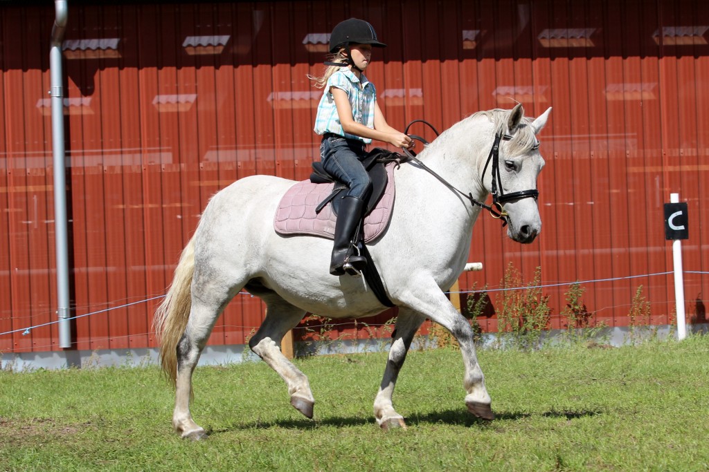 Silvar Moon og Agnes. Venligst udlånt af Kristine Gundelach.